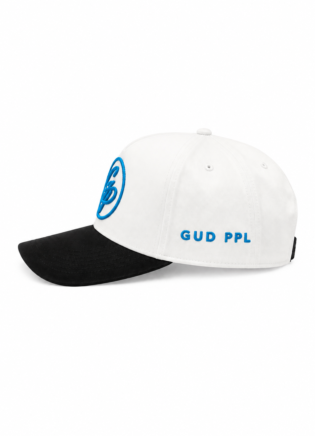 Charlotte Inspired GUD PPL Snapback